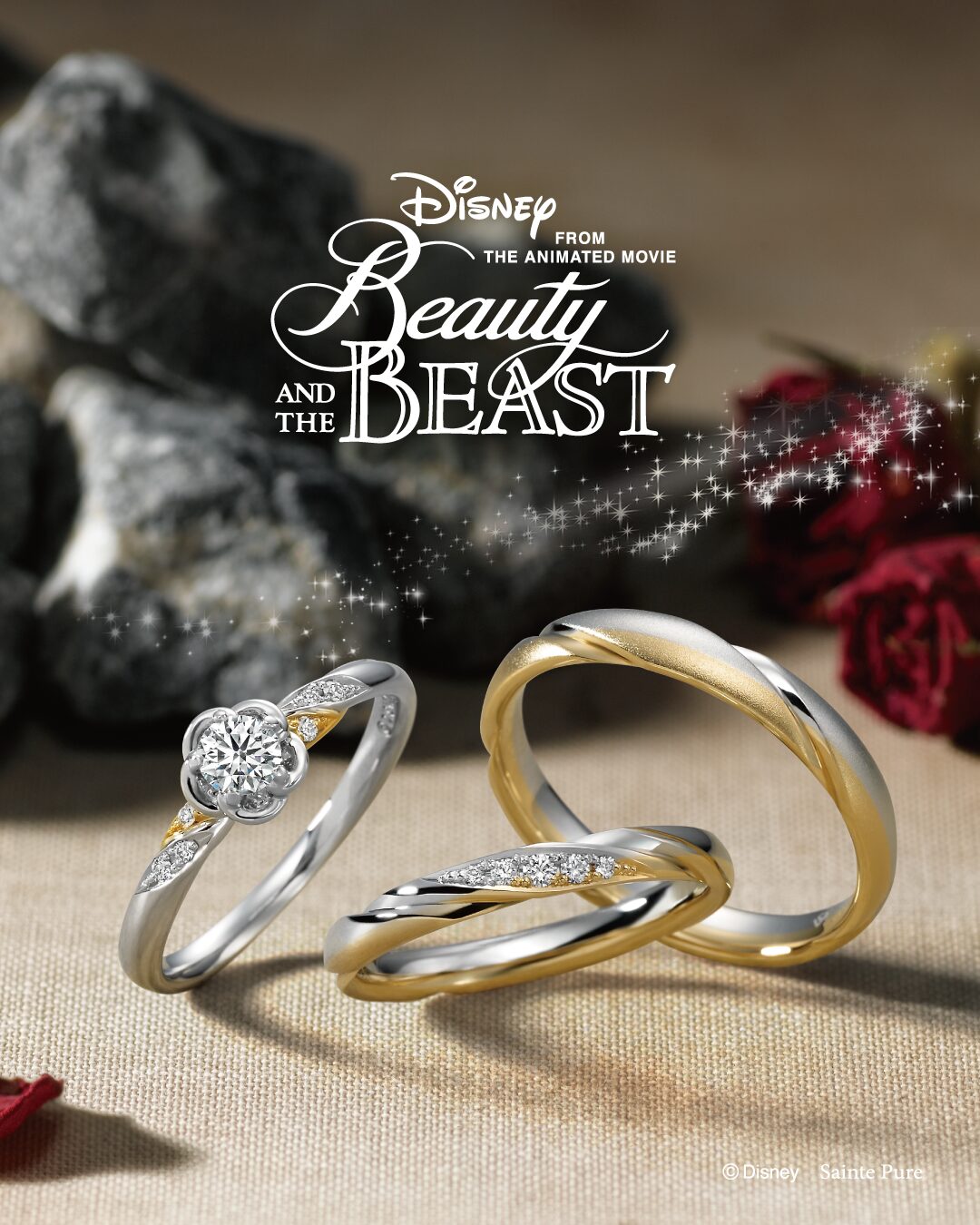 美女と野獣【9th season】